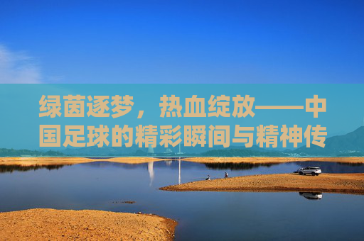 绿茵逐梦,热血绽放——中国足球的精彩瞬间与精神传承,绿茵逐梦,热血绽放,中国足球的精彩瞬间与精神传承