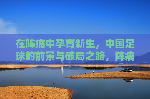 在阵痛中孕育新生，中国足球的前景与破局之路，阵痛中孕育新生，中国足球的破局之路