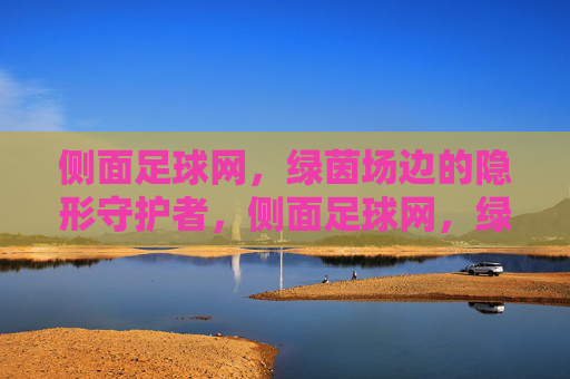 侧面足球网,绿茵场边的隐形守护者,侧面足球网,绿茵场边的隐形守护者