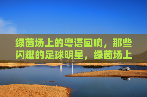 绿茵场上的粤语回响,那些闪耀的足球明星,绿茵场上的粤语回响,闪耀足球明星