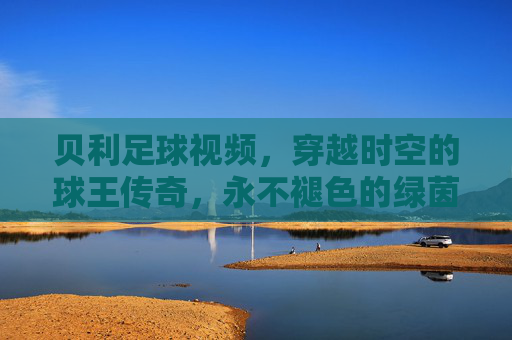 贝利足球视频,穿越时空的球王传奇,永不褪色的绿茵史诗,穿越时空的球王绿茵史诗