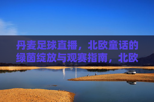 丹麦足球直播,北欧童话的绿茵绽放与观赛指南,北欧童话绿茵绽放,丹麦足球直播观赛指南