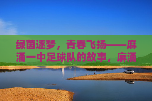 绿茵逐梦，青春飞扬——麻涌一中足球队的故事，麻涌一中足球队，绿茵逐梦，青春飞扬