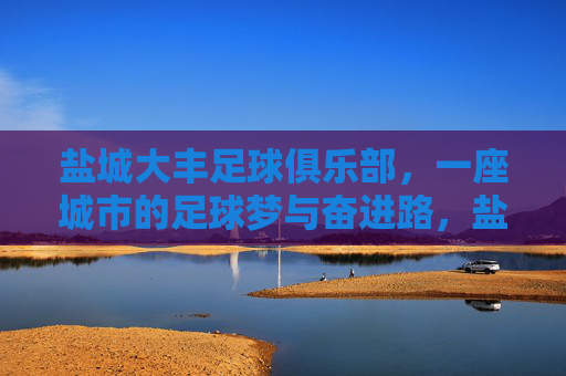 盐城大丰足球俱乐部,一座城市的足球梦与奋进路,盐城大丰,一座城市的足球梦与奋进路