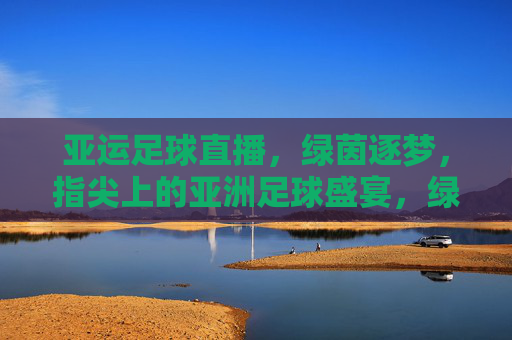 亚运足球直播，绿茵逐梦，指尖上的亚洲足球盛宴，绿茵逐梦，指尖上的亚运足球盛宴