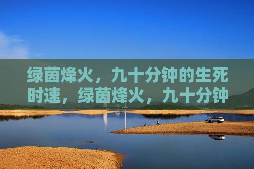 绿茵烽火,九十分钟的生死时速,绿茵烽火,九十分钟生死时速