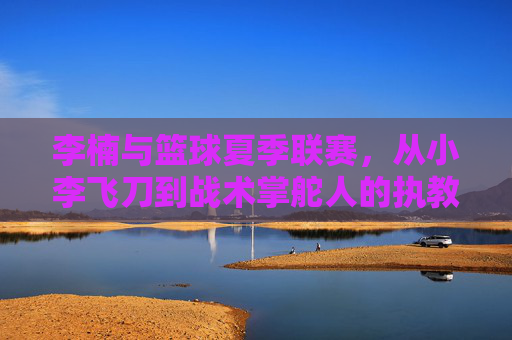 李楠与篮球夏季联赛,从小李飞刀到战术掌舵人的执教足迹,李楠执教足迹,从小李飞刀到夏季联赛战术掌舵人