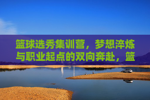 篮球选秀集训营,梦想淬炼与职业起点的双向奔赴,篮球选秀集训营,梦想淬炼与职业起点的双向奔赴
