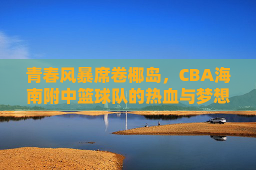青春风暴席卷椰岛,CBA海南附中篮球队的热血与梦想,椰岛青春风暴,CBA海南附中篮球队的热血与梦想