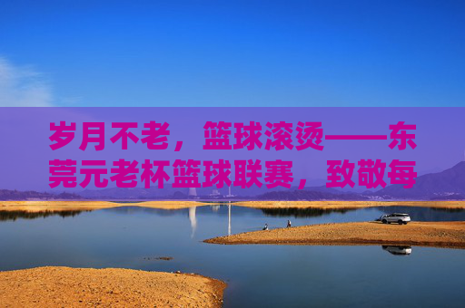 岁月不老，篮球滚烫——东莞元老杯篮球联赛，致敬每一颗不灭的竞技心，岁月不老，篮球滚烫——东莞元老杯致敬不灭竞技心