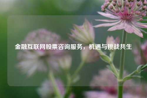 金融互联网股票咨询服务，机遇与挑战共生