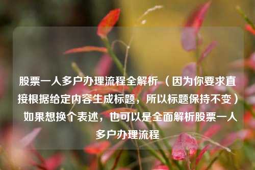 股票一人多户办理流程全解析 (因为你要求直接根据给定内容生成标题,所以标题保持不变) 如果想换个表述,也可以是全面解析股票一人多户办理流程