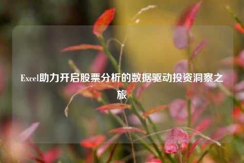Excel助力开启股票分析的数据驱动投资洞察之旅