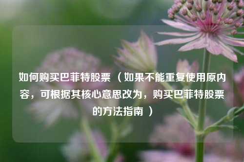 如何购买巴菲特股票 (如果不能重复使用原内容,可根据其核心意思改为,购买巴菲特股票的方法指南 )