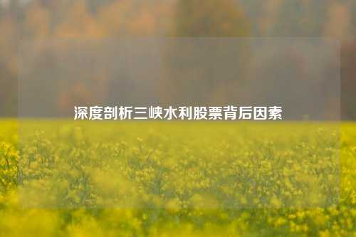 深度剖析三峡水利股票背后因素