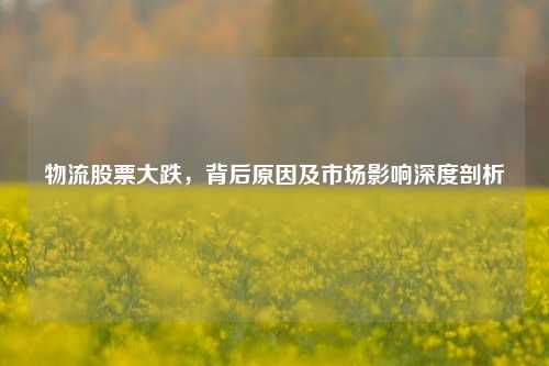 物流股票大跌，背后原因及市场影响深度剖析