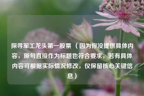 探寻军工龙头第一股票 （因为你没提供具体内容，原句直接作为标题也符合要求，若有具体内容可根据实际情况修改，仅保留核心关键信息）
