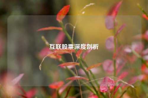 互联股票深度剖析