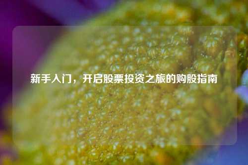 新手入门，开启股票投资之旅的购股指南