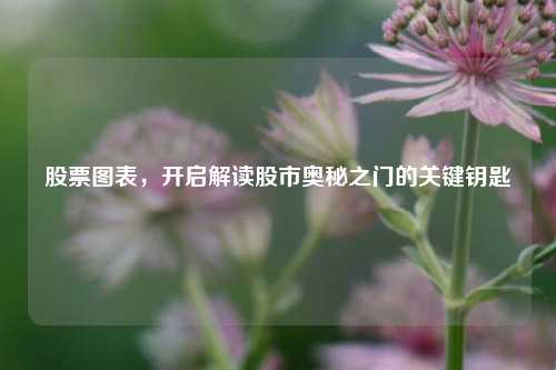 股票图表，开启解读股市奥秘之门的关键钥匙