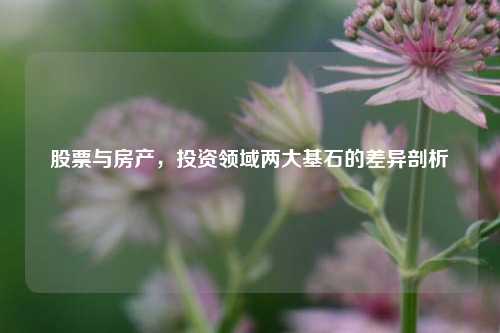股票与房产,投资领域两大基石的差异剖析