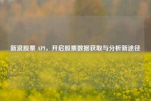 新浪股票 API，开启股票数据获取与分析新途径