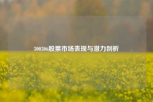300306股票市场表现与潜力剖析