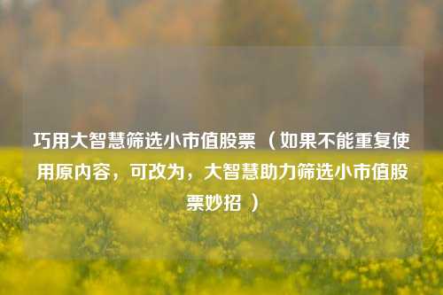 巧用大智慧筛选小市值股票 （如果不能重复使用原内容，可改为，大智慧助力筛选小市值股票妙招 ）