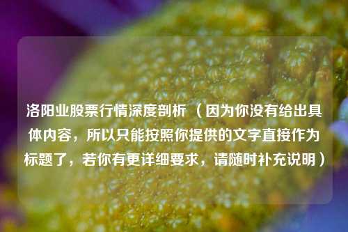 洛阳业股票行情深度剖析 (因为你没有给出具体内容,所以只能按照你提供的文字直接作为标题了,若你有更详细要求,请随时补充说明)