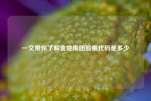 一文带你了解金地集团股票代码是多少