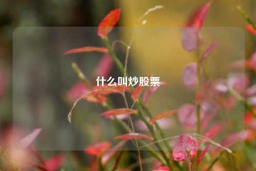什么叫炒股票