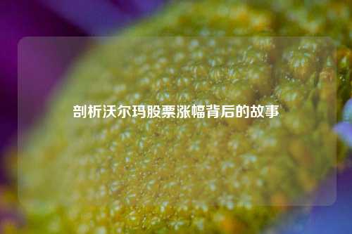 剖析沃尔玛股票涨幅背后的故事