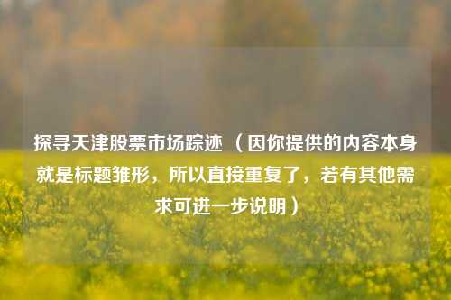 探寻天津股票市场踪迹 （因你提供的内容本身就是标题雏形，所以直接重复了，若有其他需求可进一步说明）