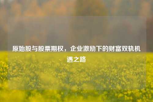 原始股与股票期权，企业激励下的财富双轨机遇之路