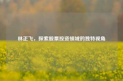 林正飞，探索股票投资领域的独特视角