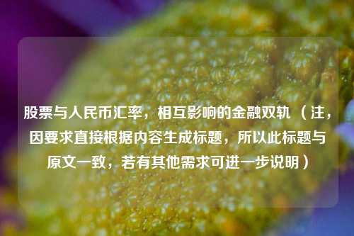 股票与人民币汇率，相互影响的金融双轨 （注，因要求直接根据内容生成标题，所以此标题与原文一致，若有其他需求可进一步说明）