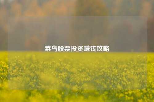 菜鸟股票投资赚钱攻略