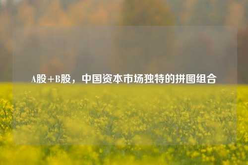A股+B股,中国资本市场独特的拼图组合