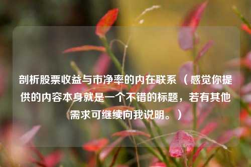 剖析股票收益与市净率的内在联系 （感觉你提供的内容本身就是一个不错的标题，若有其他需求可继续向我说明。）