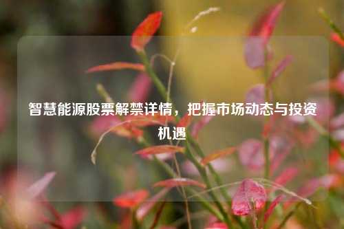 智慧能源股票解禁详情，把握市场动态与投资机遇