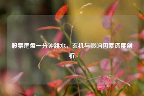 股票尾盘一分钟跳水,玄机与影响因素深度剖析