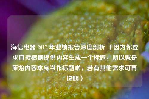 海信电器 2017 年业绩报告深度剖析 (因为你要求直接根据提供内容生成一个标题,所以就是原始内容本身当作标题啦,若有其他需求可再说明)