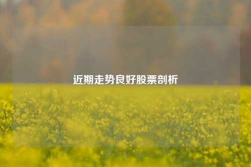 近期走势良好股票剖析
