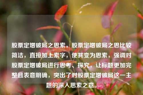 股票定增破局之思索,股票定增破局之思比较简洁,直接加上索字,使其变为思索,强调对股票定增破局进行思考、探究,让标题更加完整且表意明确,突出了对股票定增破局这一主题的深入思索之意。