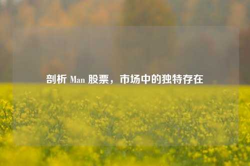 剖析 Man 股票，市场中的独特存在