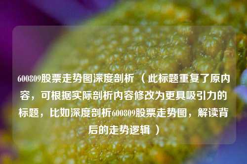 600809股票走势图深度剖析 （此标题重复了原内容，可根据实际剖析内容修改为更具吸引力的标题，比如深度剖析600809股票走势图，解读背后的走势逻辑 ）