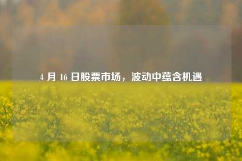 4 月 16 日股票市场,波动中蕴含机遇