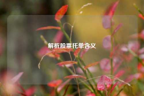 解析股票托单含义