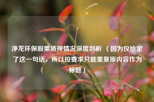 净龙环保股票质押情况深度剖析 (因为仅给定了这一句话,所以按要求只能重复原内容作为标题)