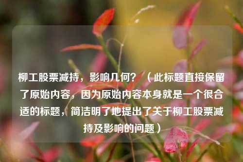 柳工股票减持,影响几何? (此标题直接保留了原始内容,因为原始内容本身就是一个很合适的标题,简洁明了地提出了关于柳工股票减持及影响的问题)